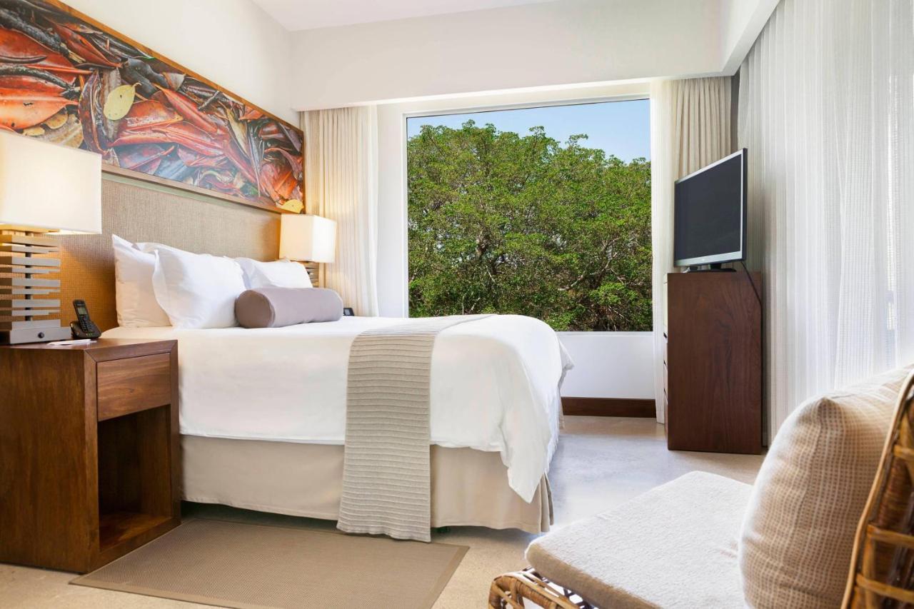 Crown Superior One-Bedroom Large King Suite with Sofa Bed