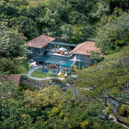 El Mangroove Papagayo, Autograph Collection-3